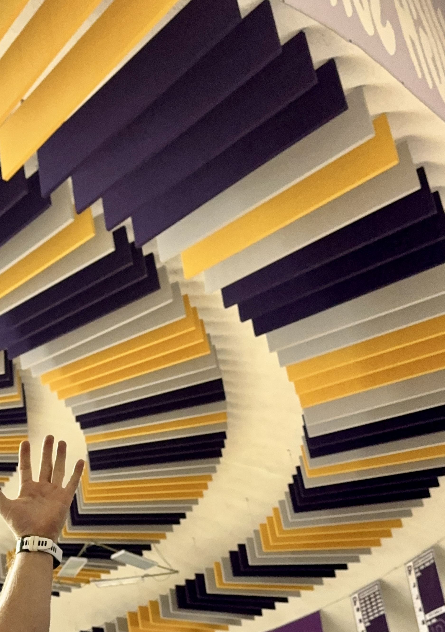 Rows of purple, gold and white acoustic baffles filling the dome ceiling